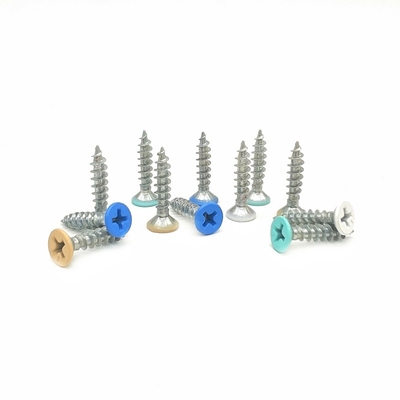 M20 stainless steel cross paint Self Tapping Screws Kepala datar