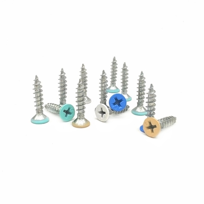 M20 stainless steel cross paint Self Tapping Screws Kepala datar