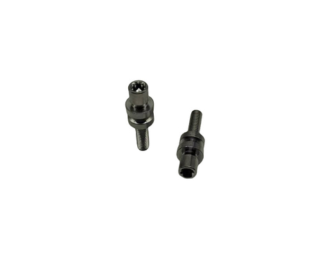 Stainless Steel Torx Screws yang disesuaikan