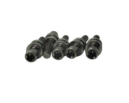 Stainless Steel Torx Screws yang disesuaikan