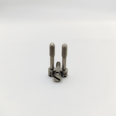 304 Stainless Steel Slotted Lead Sealing Screws untuk meter listrik