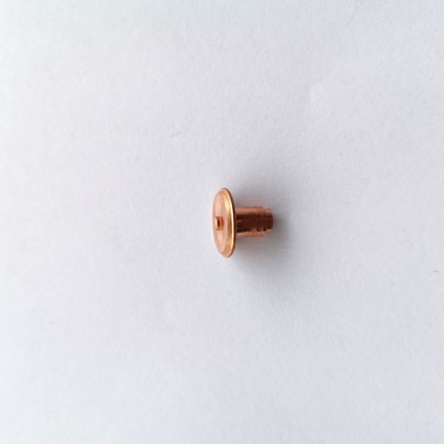 Round Head Stainless Steel Rivet Cold Heading Untuk Kendaraan Energi Baru