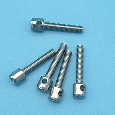 M3 M4 M5 Galvanized Lead Seal Screw Meter Sekrup Penutup Baut Baut Berlubang 10mm-40mm Panjang