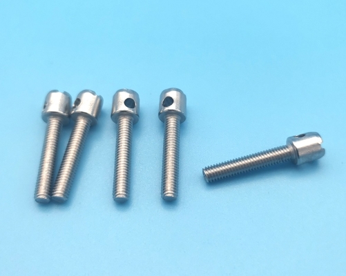M3 M4 M5 Galvanized Lead Seal Screw Meter Sekrup Penutup Baut Baut Berlubang 10mm-40mm Panjang
