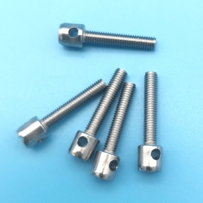 Satu lubang Slotted Lead Seal Screw Zinc Plated Pan Head Electric Meter Screws Screws Anti-Tamper Sealing