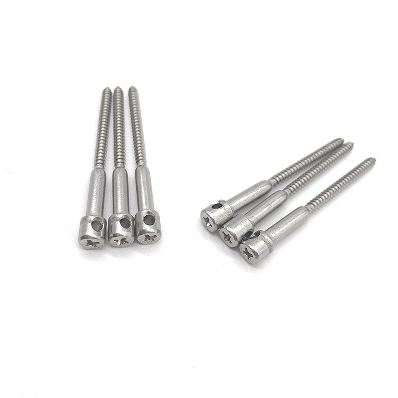 Bolt Penguncian Untuk Watthour Meters Galvanized Hole Screws Untuk Anti-Tampering Of Electric Meters - Konstruksi Logam Padat