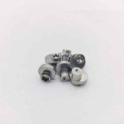 Pin Pengunci Eksentrik 316 Stainless Torx Sekrup Eksentrik ±0.3-1.0mm Offset Poles Elektrolitik