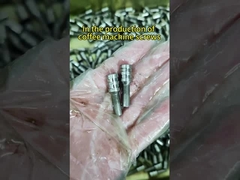 Elektro Galvanized Phillips Recessed Perforated Screws Meter Screws Lead Sealing Screws